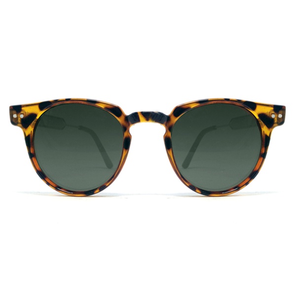 Teddy Boy Brown Tortoise / Black